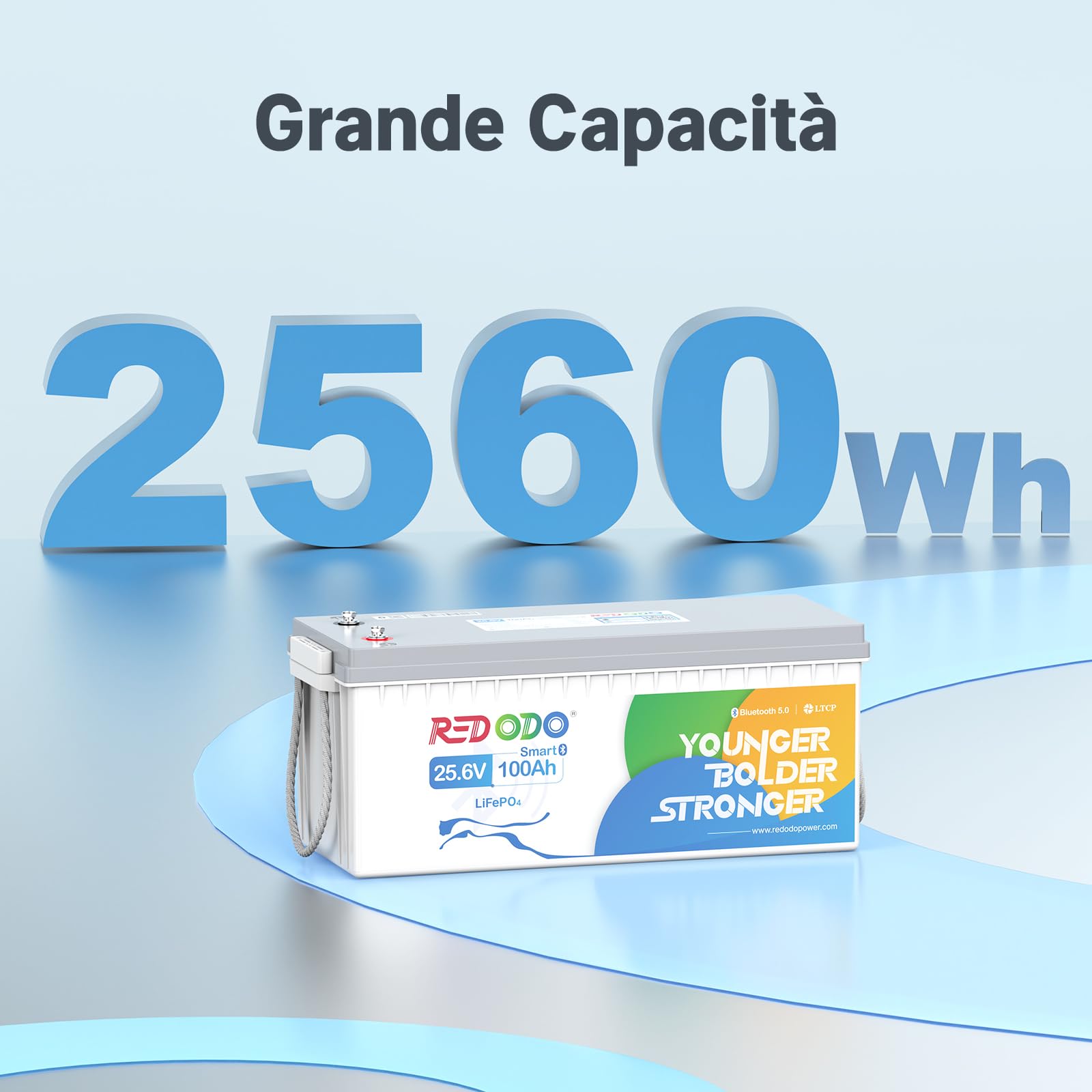 Redodo 24V 100Ah Bluetooth Batteria Litio 2560Wh Batteria LiFePO4 con Bassa Temperatura BMS 100A 4000-15000 Cicli Profondi 10 Anni di Vita batteria 100ah per Camper Sistemi Solari Off-Grid Casa Barca