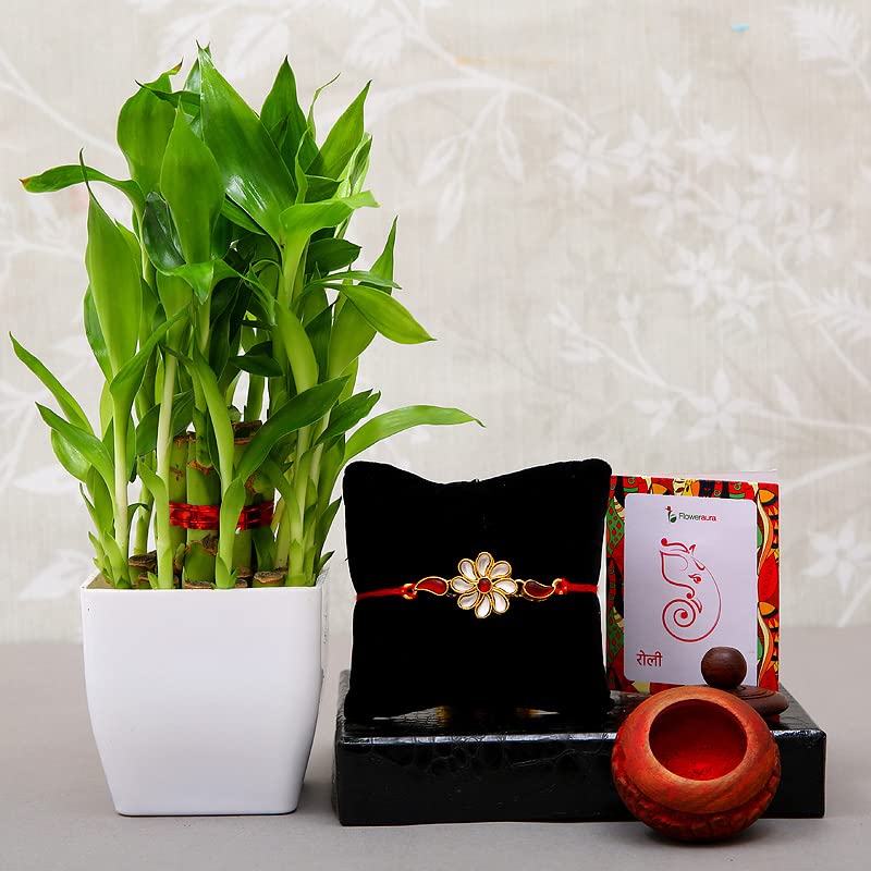 FlowerAura One Designer Kundan Rakhi With Lucky 2 layer Bamboo Live Indoor plant Gifts For Brothers RakshaBandhan (Roli & Chawal) (B0B431M9WY) Amazon Price History, Amazon Price Tracker