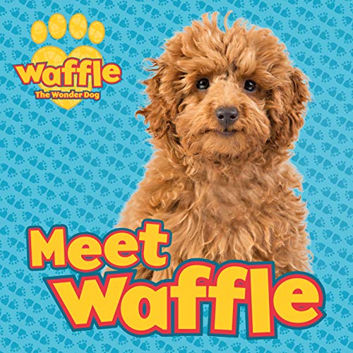 waffle dog amazon
