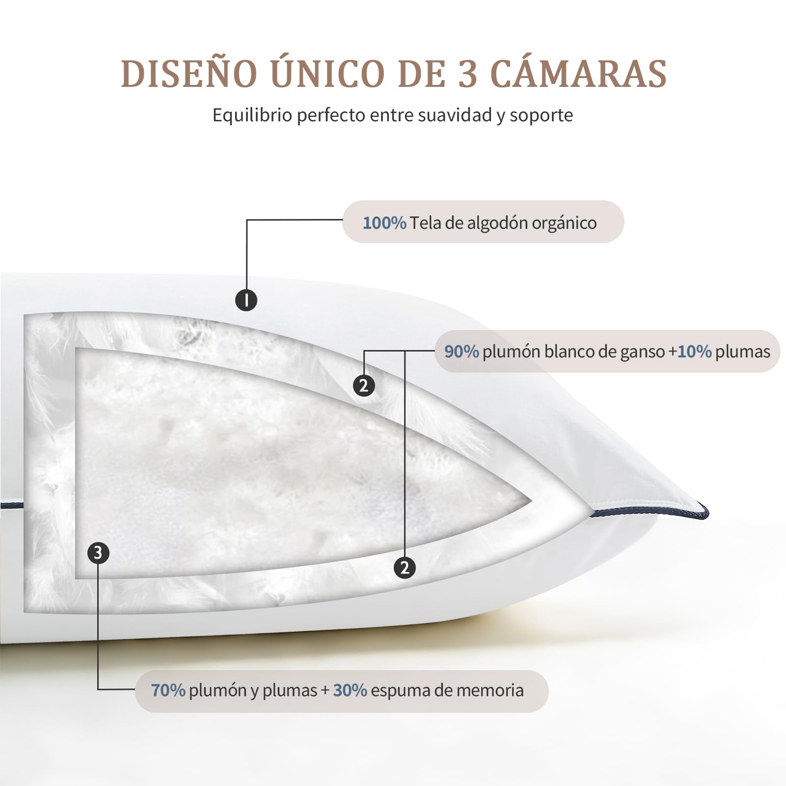 DWR Almohada de Plumón 50x75 cm (2 Unidades) | 3 Cámaras | 90% Plumón de Ganso Blanco Exterior | Mezcla de Plumas Interior | 100% Algodón Orgánico | Soporte Medio | RDS y Oeko-Tex