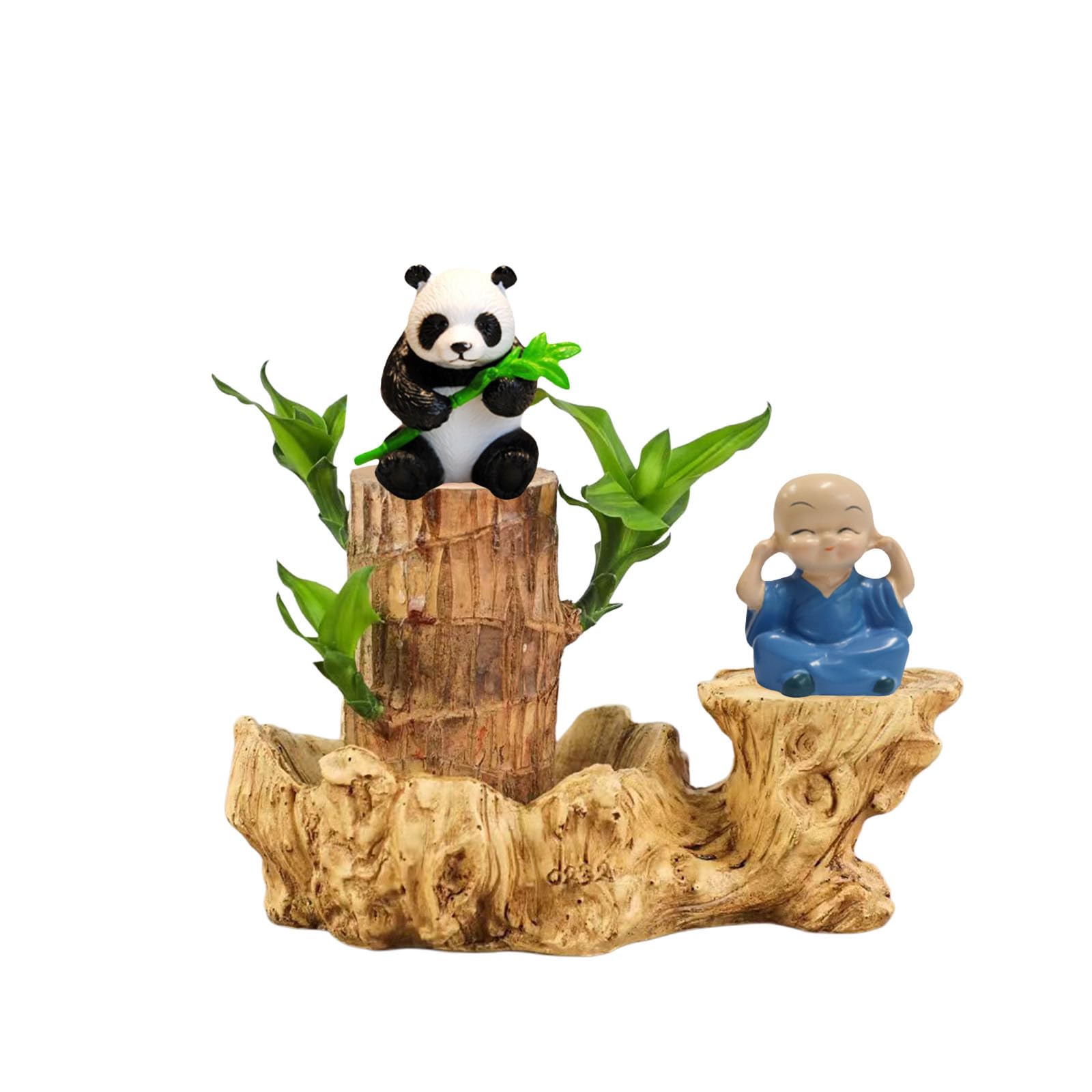 Brazilian Wood Plant with Panda Monk, Easy Grow Woods Plant, Easy Care Brazilians Woods Hydroponic Plants, Brazillian Wood Money Tree, Housewarming