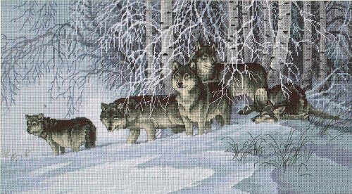 Dimensions Needlecrafts Counted Cross Stitch, Winters Lace