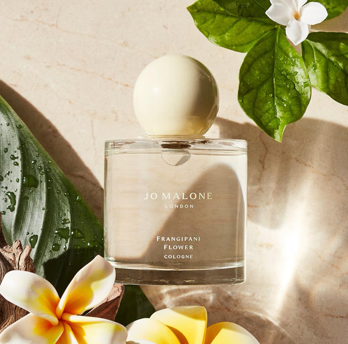 Amazon.com : Jo Malone London Frangipani Flower Cologne, 3.4 oz