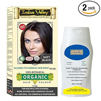 INDUS VALLEY Combo Kit For Hair Care & Styling || 100% Organic & Chemical Free Botanical Hair Color 120g -Soft Black With 200ml Color Protective Shampoo and Conditioner (120g + 200ml)