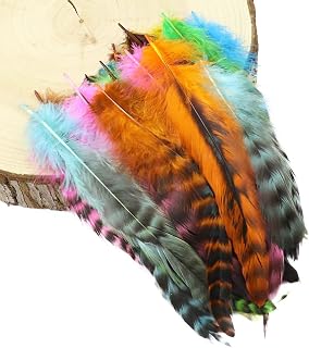 100pcs 10-15CM Natural Chicken Feathers Wedding Party Decor DIY Colored Rooster Plume Jewelry Making Hair Accessories Crafts(Mixed Color)