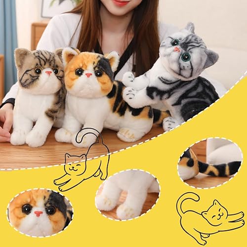 Miniatura 4 de ELAINREN Realisitc Calicó - Animales de peluche realistas de gato atigrado marrón, juguete de peluche de siumlation American Shorthair Kitty de