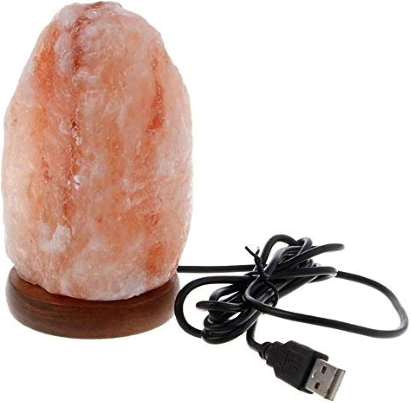 Wooden Base Table Lamp, Hand-carved, Himalayan Rock Salt Lamp, Air Purifier, Night Light, USB, Indoor Lighting