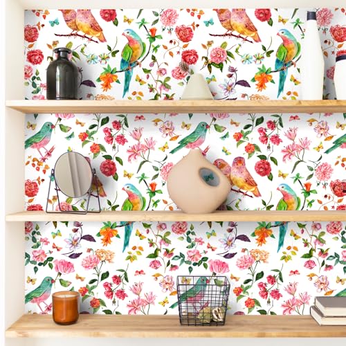 Papier peint amovible oiseaux perroquets fleurs papillons - 4
