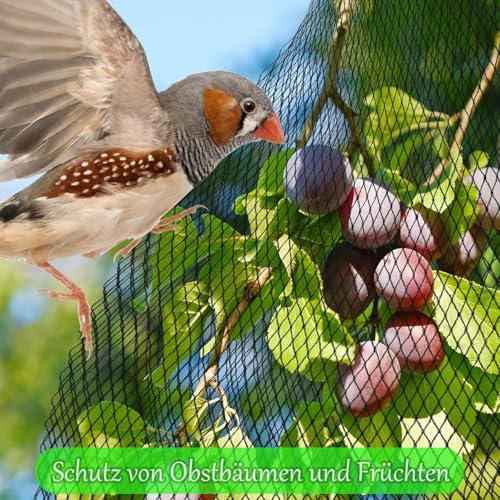 4x3m Meter Teichnetz Feinmaschig, Hochwertiges Polyethylen Vogelschutznetz mit 12 Bodenankern, Obstbaumnetz, Hühnernetz, Balkonnetz