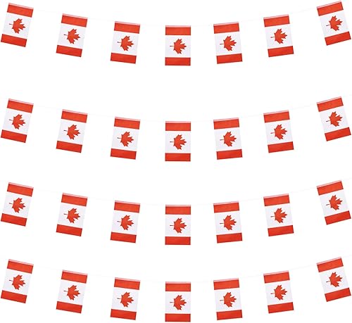 Miniatura 37 de WXTWK Banderas de Colombia pequeñas y pequeñas banderines para decoración de festivales (50 pies 38 banderas)