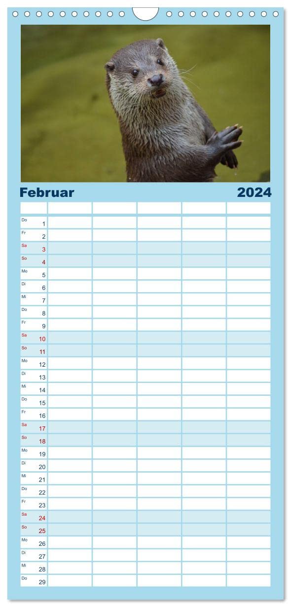 Familienplaner 2024 - Otter. Frech, laut und clever mit 5 Spalten (Wandkalender, 21 cm x 45 cm) CALVENDO: Putzige Räuber und echte Rabauken im und am Wasser (CALVENDO Tiere)