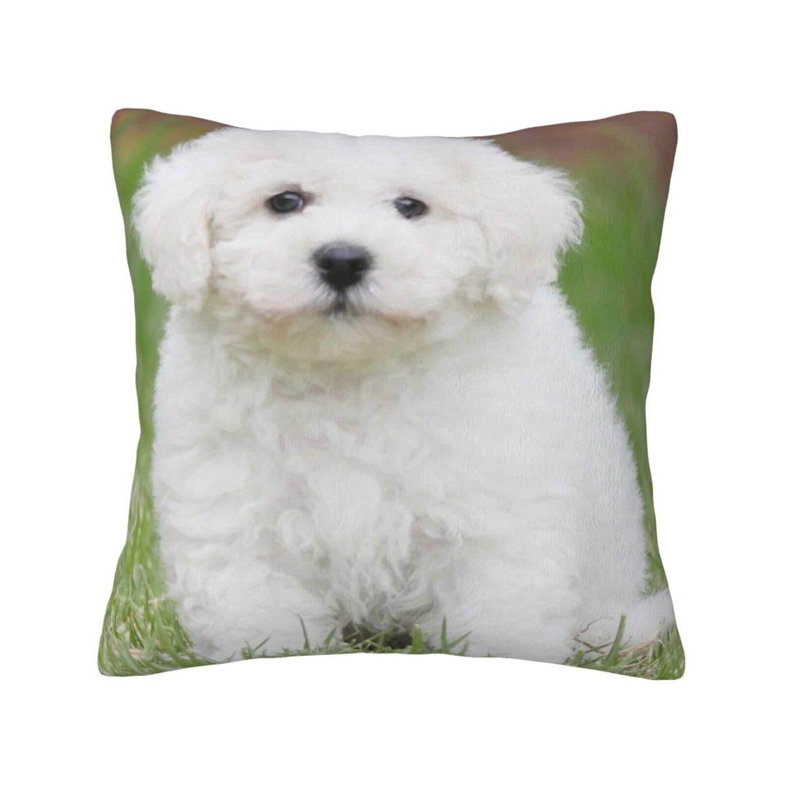 YFSGDLBN Bichon Frise Dog printed Velvet pillowcase decorative Cushion Cover