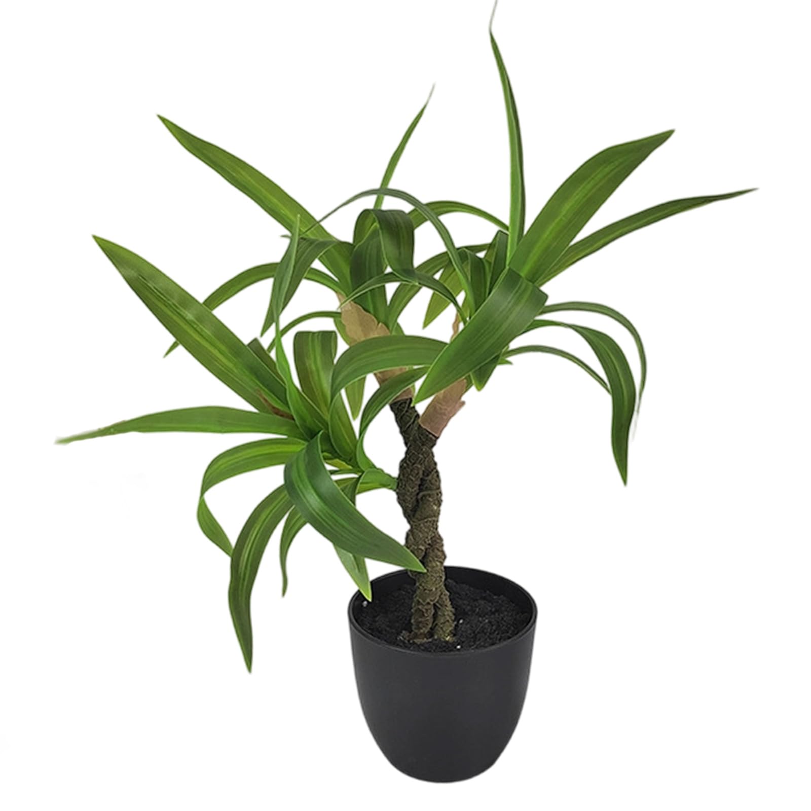 Zxfdsfdbnm Sturdy Artificial Lucky Dracaena Plant in Pots Realistic Potted Greeneries for Desk Tabletop Decoration Realistic Plant