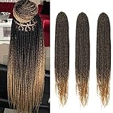 SEGO 24 Inch Crochet Box Braids Pre-Looped Box Braids Crochet Hair Extensions Ombre 3X Synthetic...