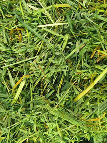 Cremas Y Lociones, Video On Demand Imagen adicional