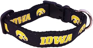 NCAA Iowa Hawkeyes Dog Collar (Team Color, Large)