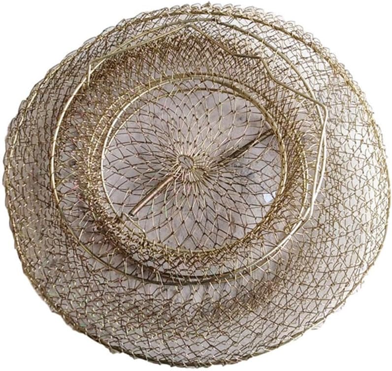Cast Nets for Fishing Accessories Protective Basket Metal Cage Shrimp Baskets Supplies, Black