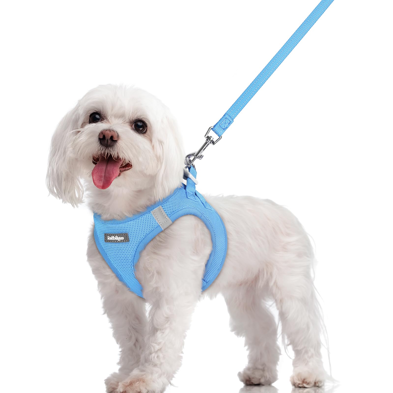rabbitgoo Dog Harness Small Dog and Leash Set, Step-in Soft Mesh Puppy Harness with Reflective Strips, Lightweight Breathable Pet Vest for Walking Training, Blue, M