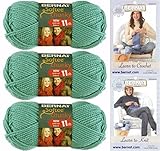 Bernat Softee Chunky Yarn Bundle Super Bulky #6, 3 Skeins Seagreen 28219