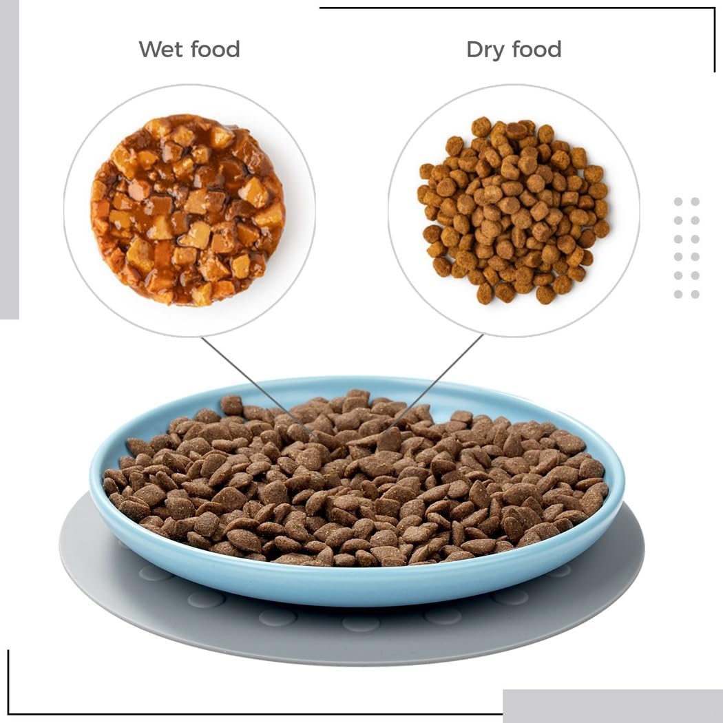 3 Pack of Ceramic Cat Feeding Bowls, Whisker Stress-Free Plates with Non-Slip Mats, Wide & Shallow Dishes for Cats and Puppies, Dishwasher Safe