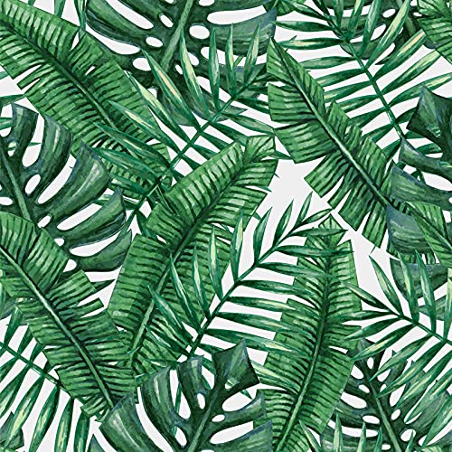 Papier peint Monstera pour masquer les imperfections murales