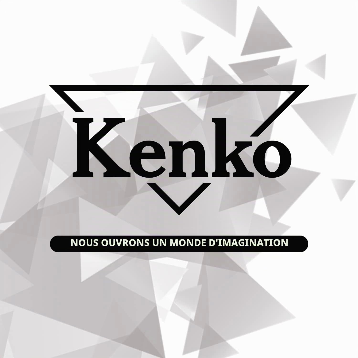 Kenko Tubes d'extension pour Micro 4/3, 10mm/16mm, Fabriqué au Japon, 804308