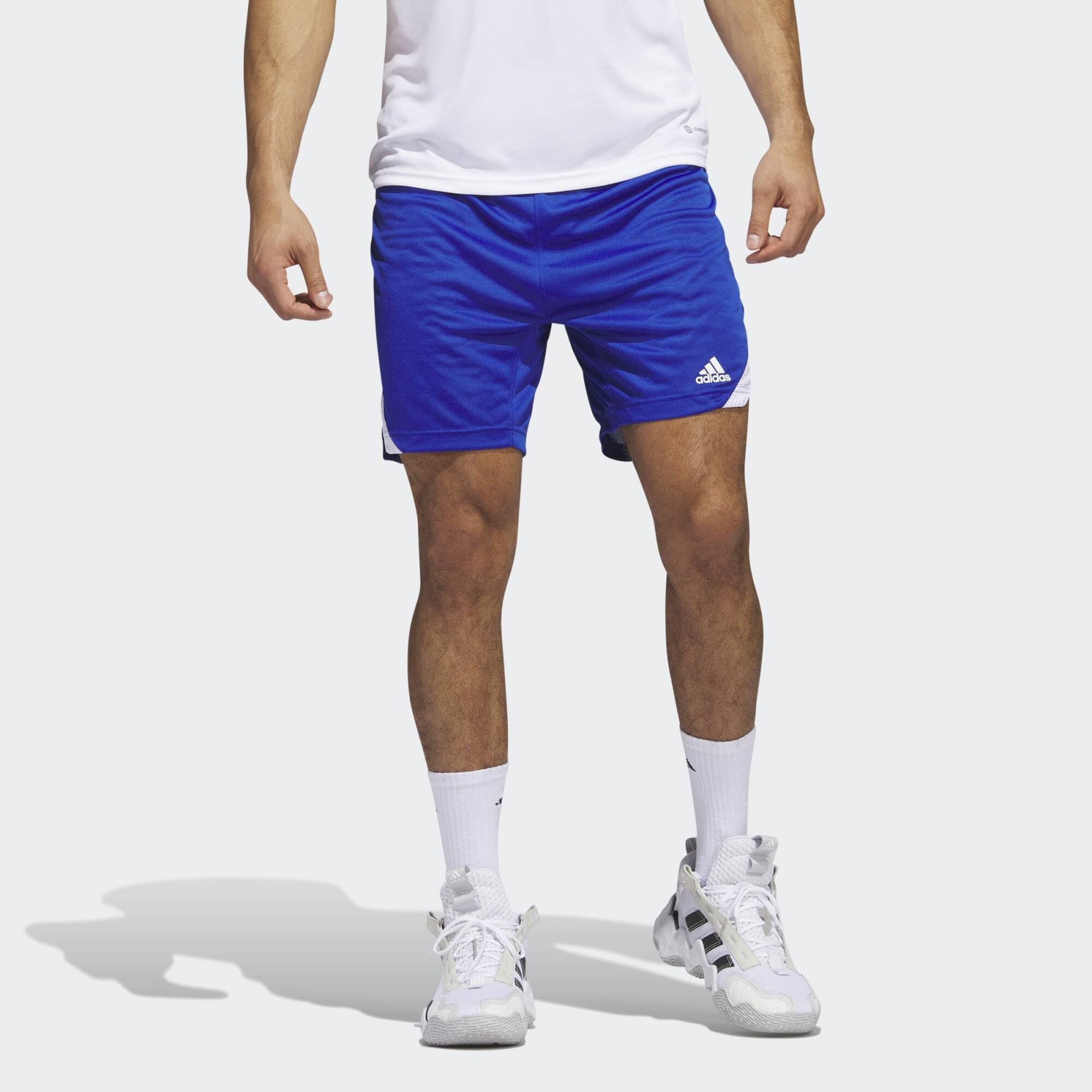 adidas Icon Squad Shorts - Szorty casualowe Mężczyźni