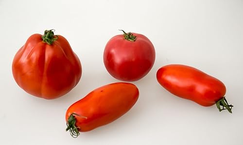 Miniatura 2 de Tomate "Like Pepper Form" Vegetal Heirloom Non-GMO
