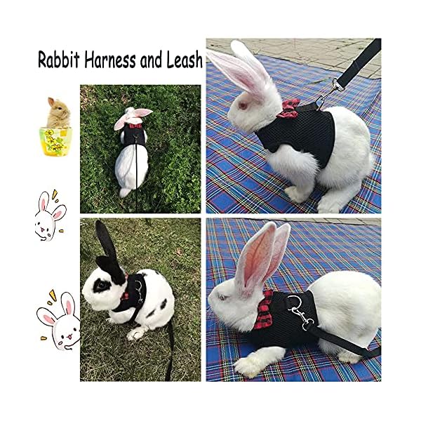 Asocea adjustable bunny harness and leash soft pet harness vest cloth lead for small animals rabbits ferret kitten black - image 6