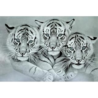 10mejor 10 Imagenes De Tigres Blanco Bebes De 21 Mejor Valorados Y Revisados