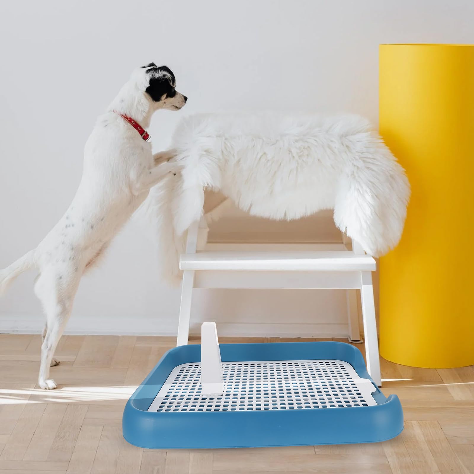 OUNONA Toilette per Cani Cuccioli da Interno in Plastica Pp Antiscivolo Facile da Pulire per Addestramento e Igiene