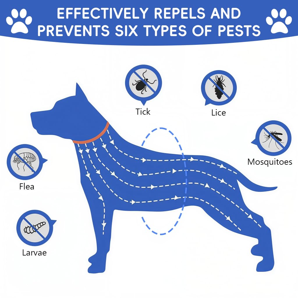 Qpets Flea and Tick Collar for Dogs Adjustable Waterproof Collar 38cm 1
