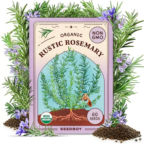 Organic Rosemary Seeds for Planting Indoor and Outdoor, Non-GMO a...