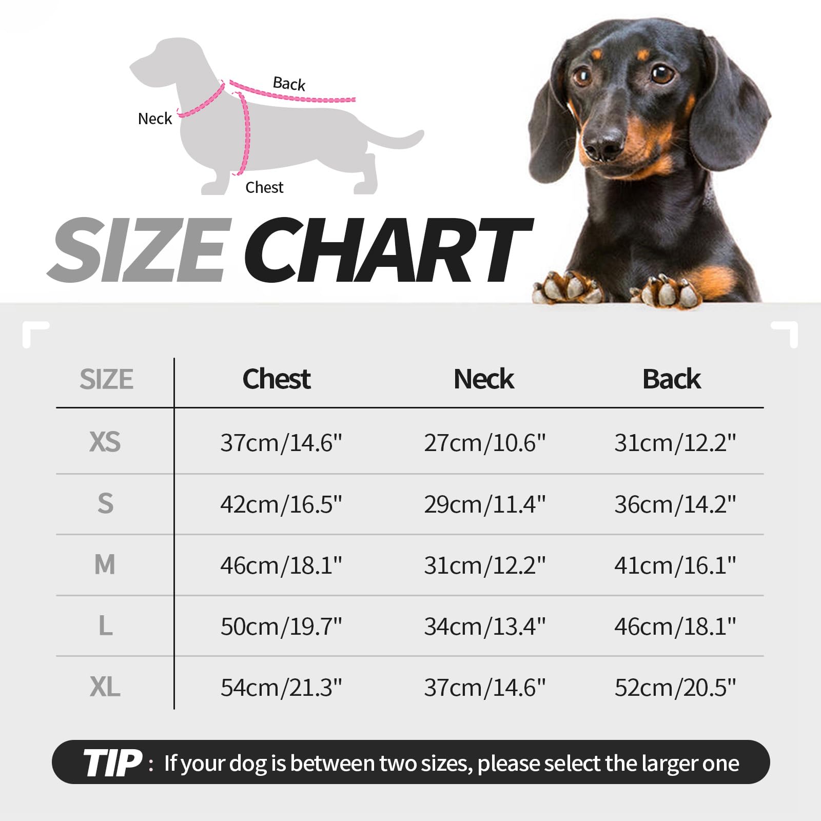 Hjyokuso Dachshund Jumper, Sausage Dog Fleece Sweater, Lightweight Stretch Pullover Dog Vest for Miniature Dachshunds - Image 4