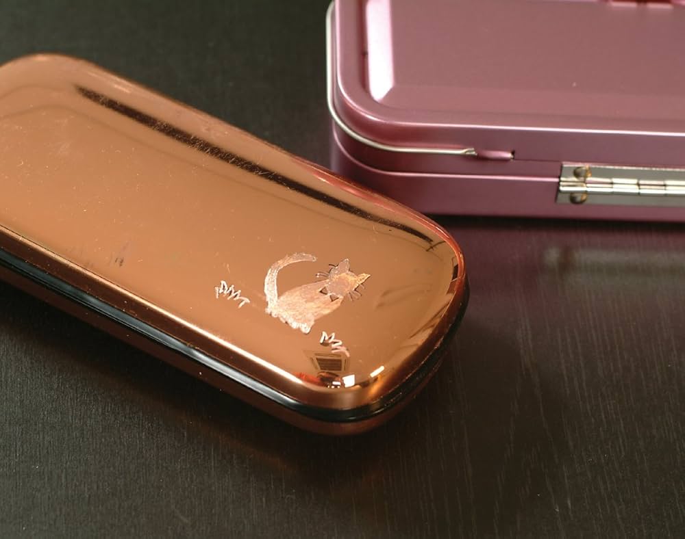 Amazon | イチネンアクセス RELIEF(リリーフ) ホビー ディスク