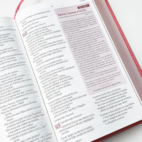 Biblia de Estudos da Mulher Rosa