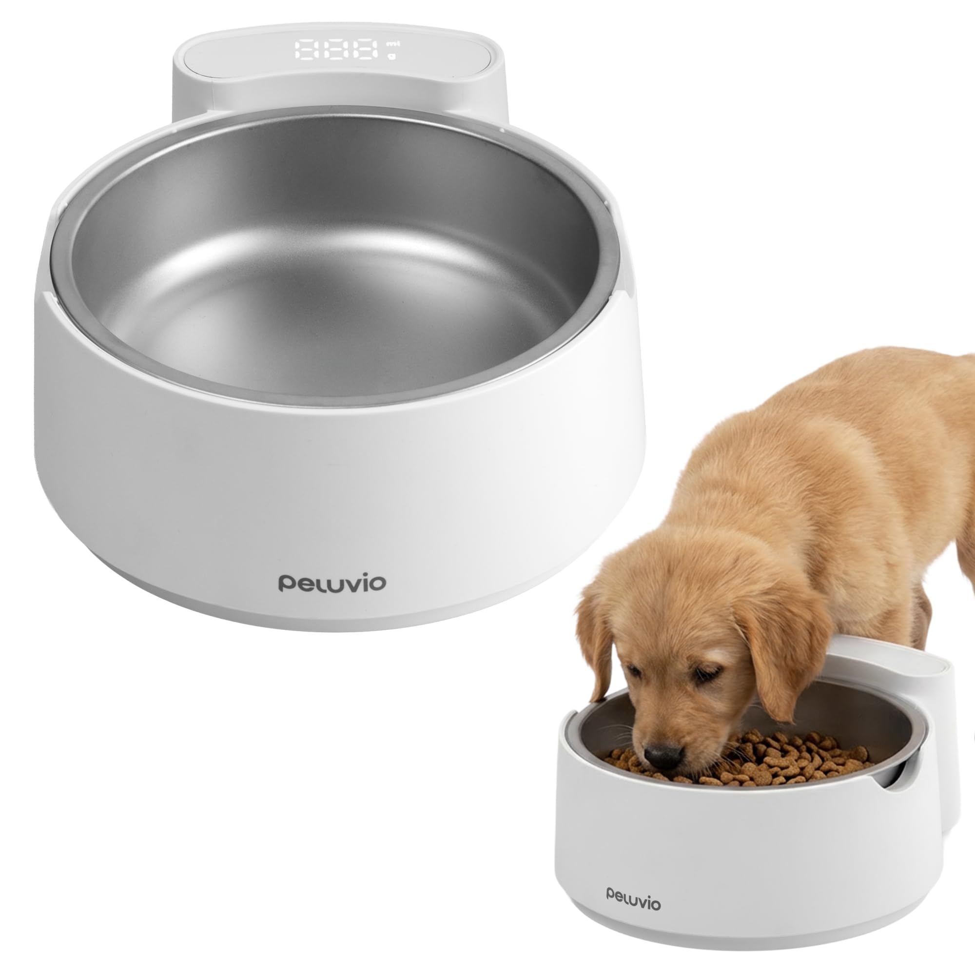 Gamelle pour chien avec balance intégrée Scalo en acier inoxydable 700g