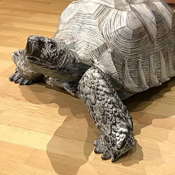 Amazon.co.jp: ウッドギャラリー樹 ゾウガメの置物 亀 ゾウガメ