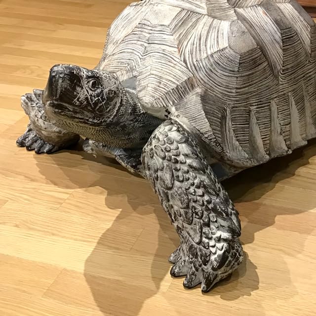 Amazon.co.jp: ウッドギャラリー樹 ゾウガメの置物 亀 ゾウガメ