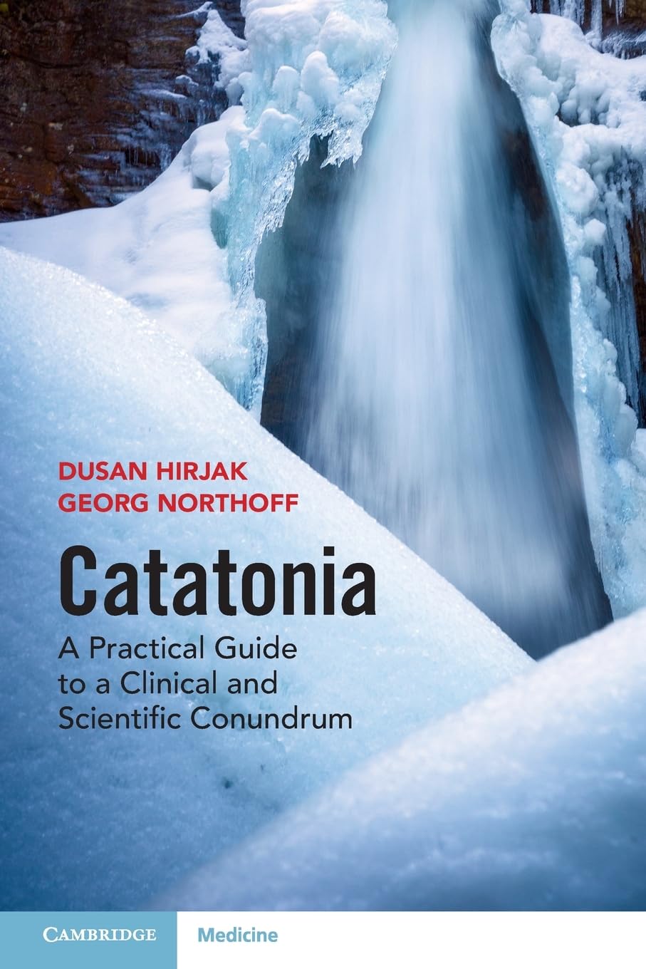 Catatonia by Dusan Hirjak PAPERBACK 9781009450959