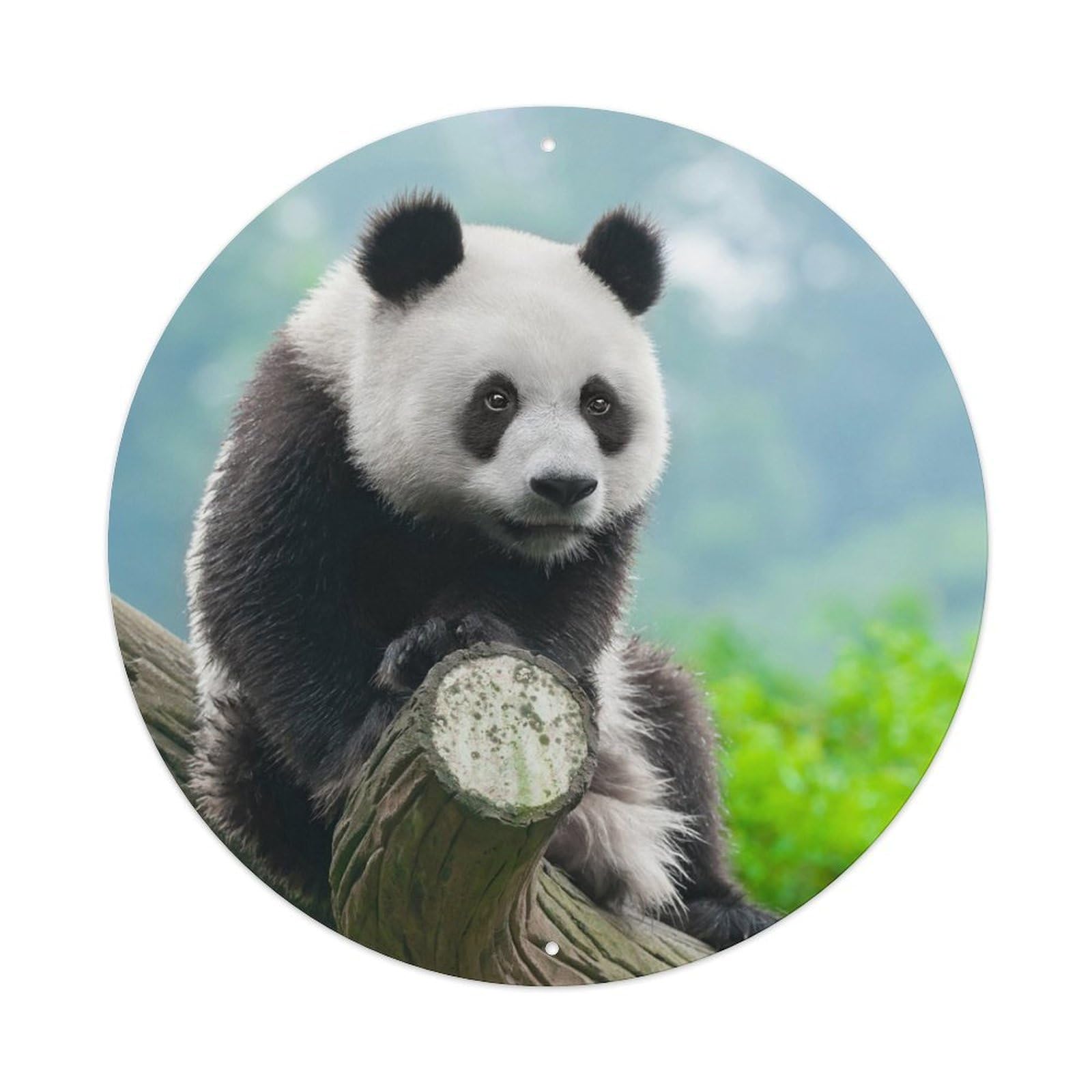 Animal Cute Panda Wildlife Pet Retro Clock Illustration Metal Tin Sign Plaque Wall Decor for Cafe, Man Cave, Club Bar, Office, Home Garden Round Metal Poster 8x8Inch