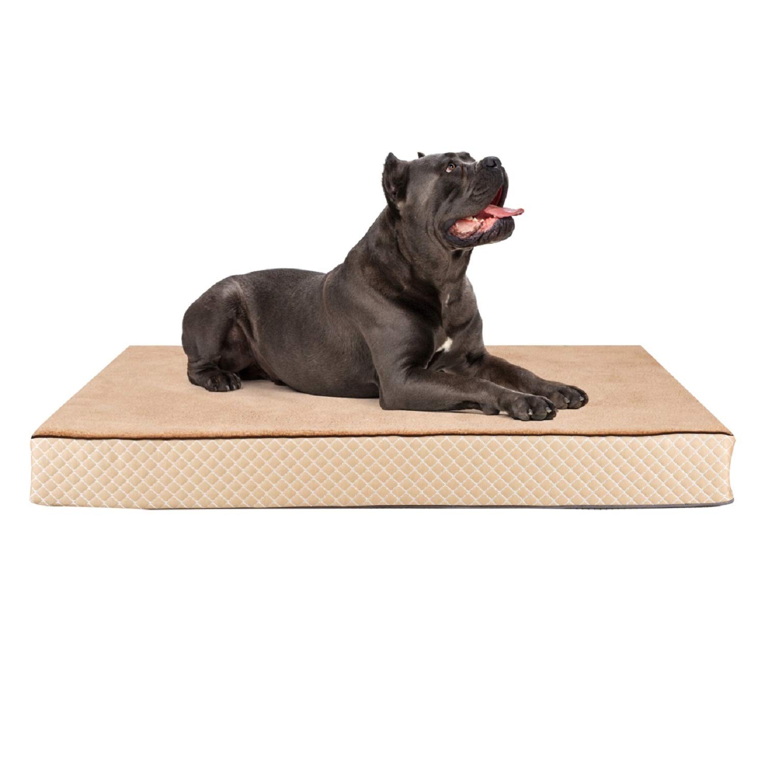 Metron Orthopeadic Pet Bed for Large Dogs | Rectangle Shape | Camel Color | Size 48”x36”x5” inches | Anti Skid Bottom | Washable Removable Outer Special Sherpa Fabric Cover | Pack of 1 (B08DMQRH5J) Amazon Price History, Amazon Price Tracker