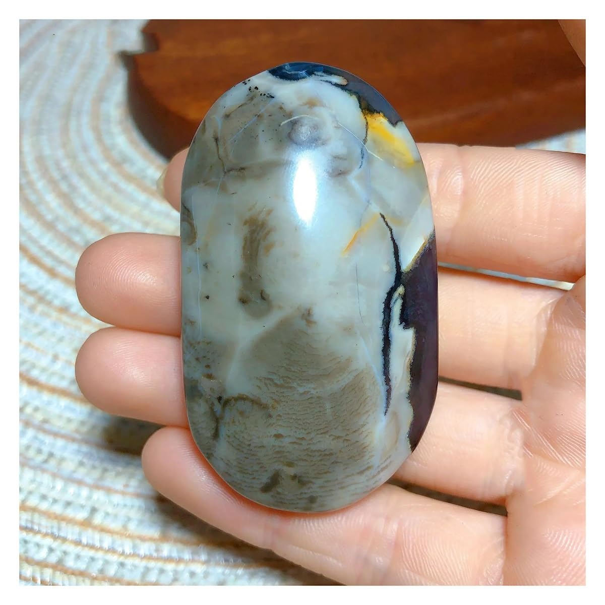 Cristaux naturels d'agate en forme de palmier à offrir