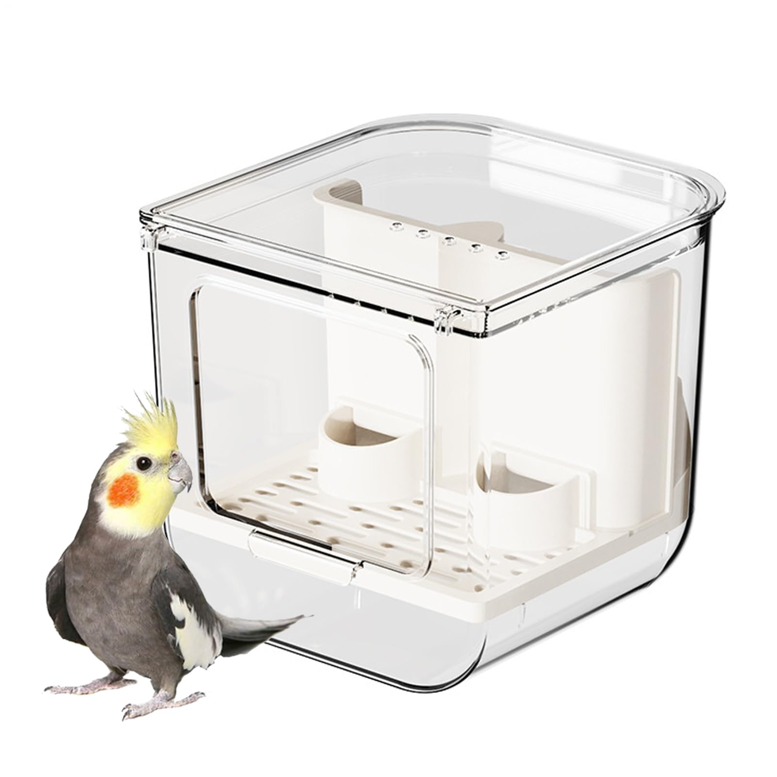 Mangeoire à oiseaux de cage transparente pour perruche canari et canaris