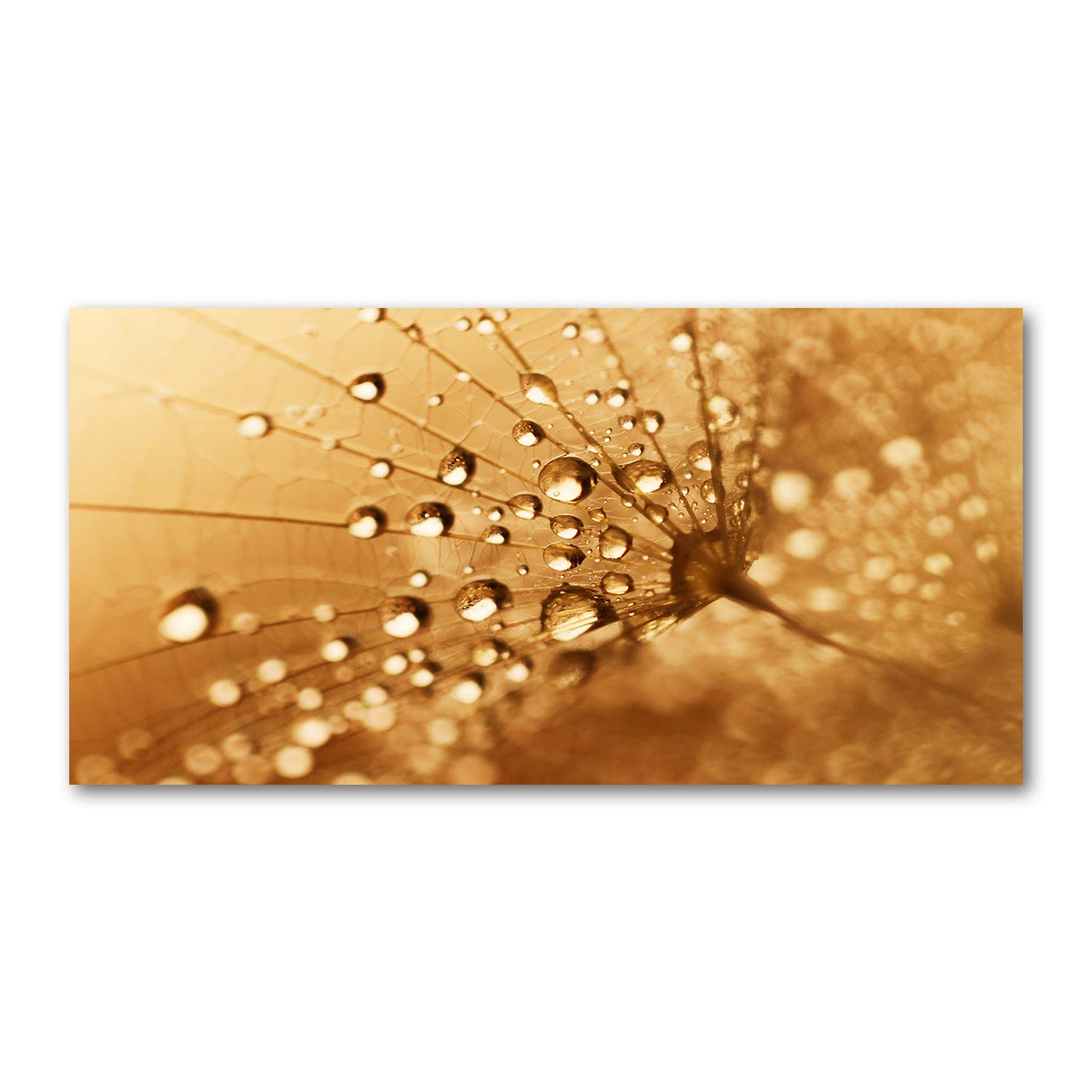 Tableau acrylique pissenlit marron 140x70cm mural art plastique