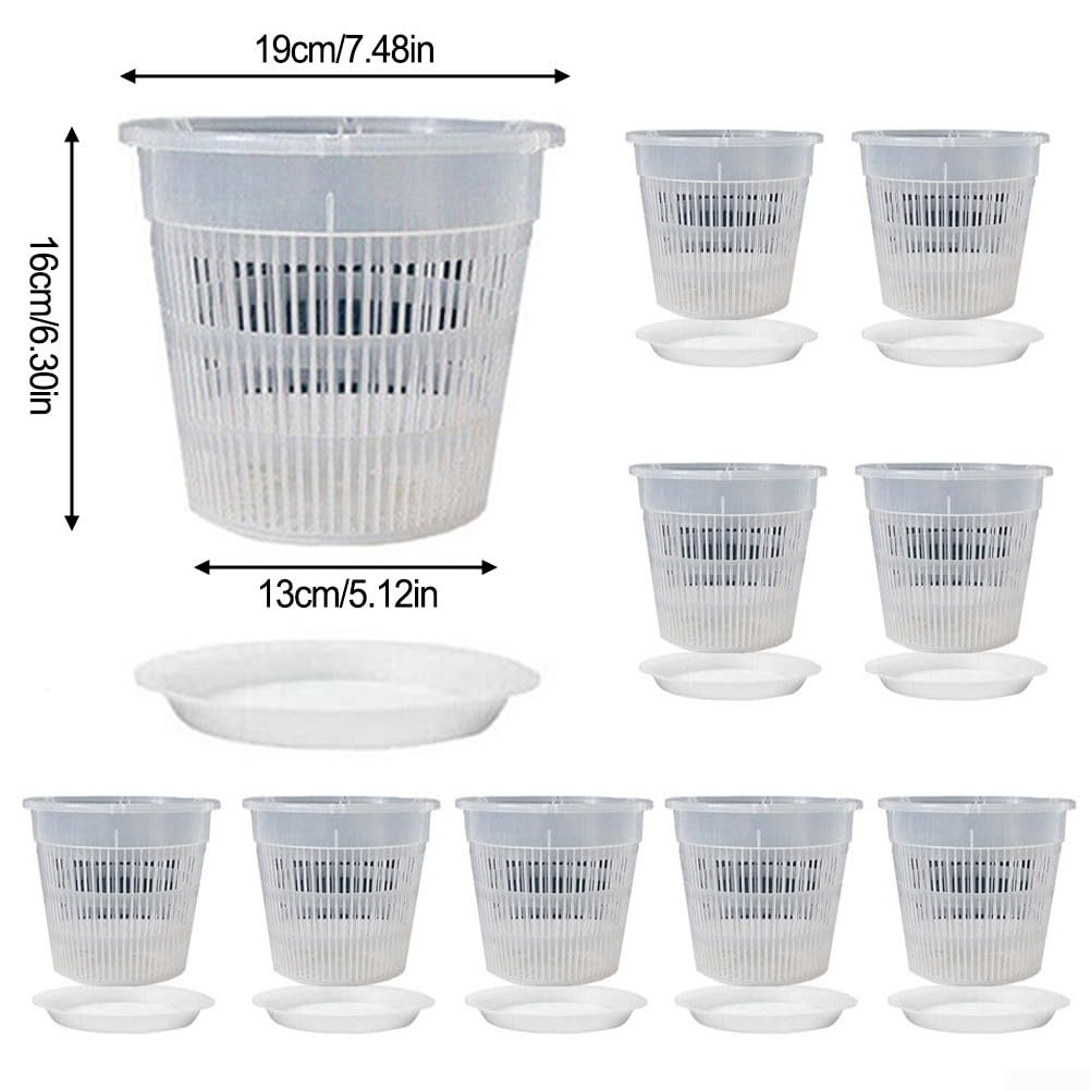 Lot de 10 pots à orchidée transparents avec bases en plastique ABS ventilés avec trous de drainage pour la croissance des racines, conteneurs transparents pour plantes grasses, cactus (190 mm)