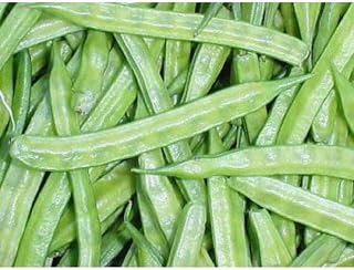 Navbahar Cluster Bean Seeds (25 Seed Package)