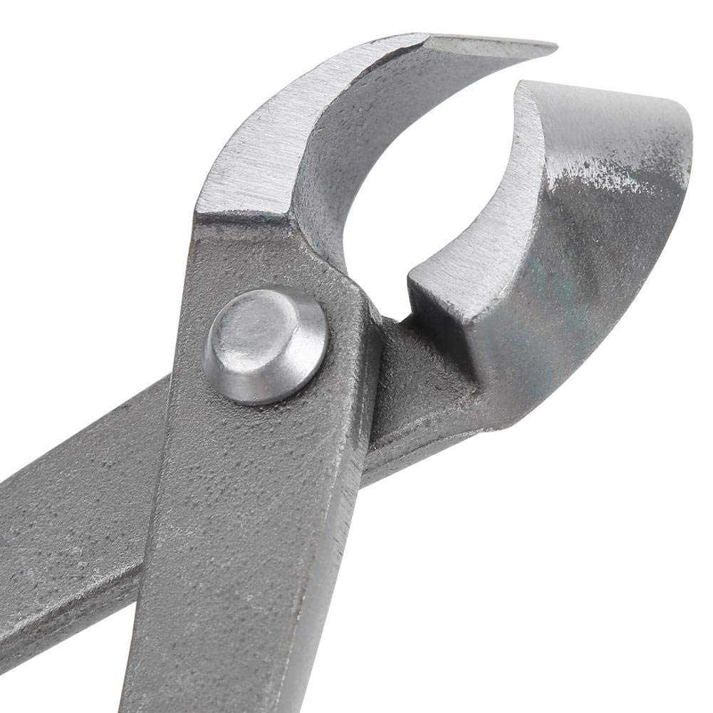 MAGT Taglierina per Rami da Giardino, 21,3 x 5,6 cm in Acciaio al Carbonio per Bonsai Prato