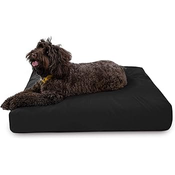 k9 ballistics amazon