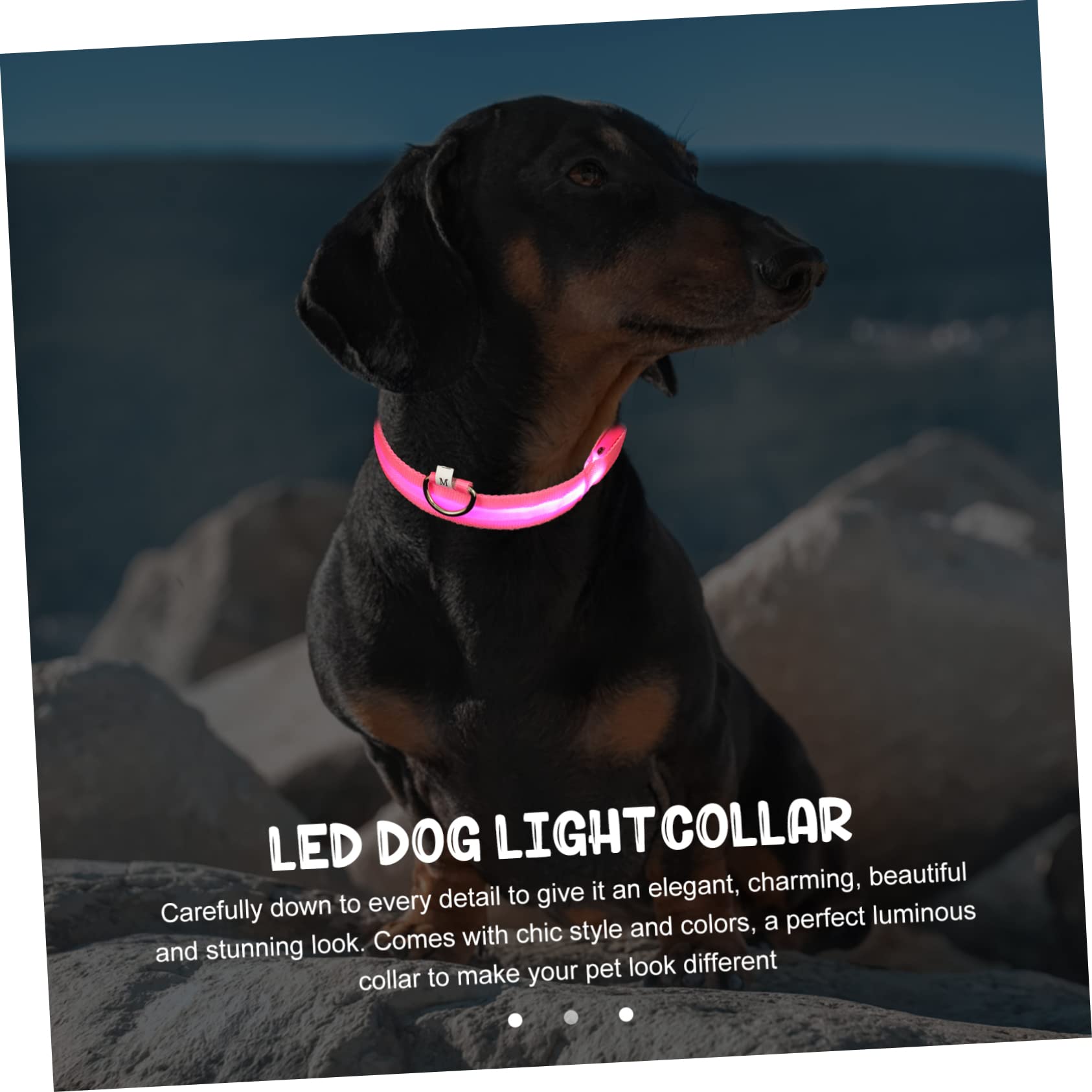 INOOMP 4 Set Collare Per Cani Collana Led Cane Colletto Luminoso Collare Per Cucciolo Collari Per Cuccioli Per Cuccioli Piccoli Sicurezza Rosa Poliestere Gatto Domestico Serigrafia